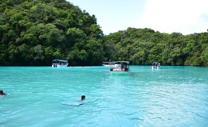 people swimming in the beautiful blue waters
