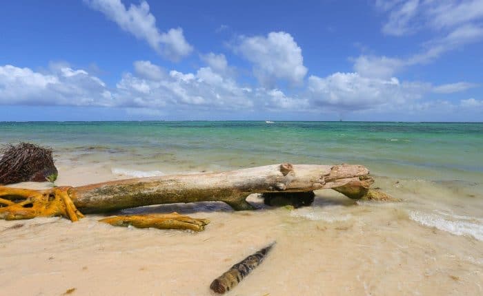 Beach in Dominican Republic