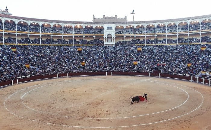 bullfight in Spain