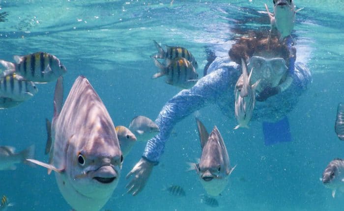 Top Five Scuba Spots In San Pedro, Belize