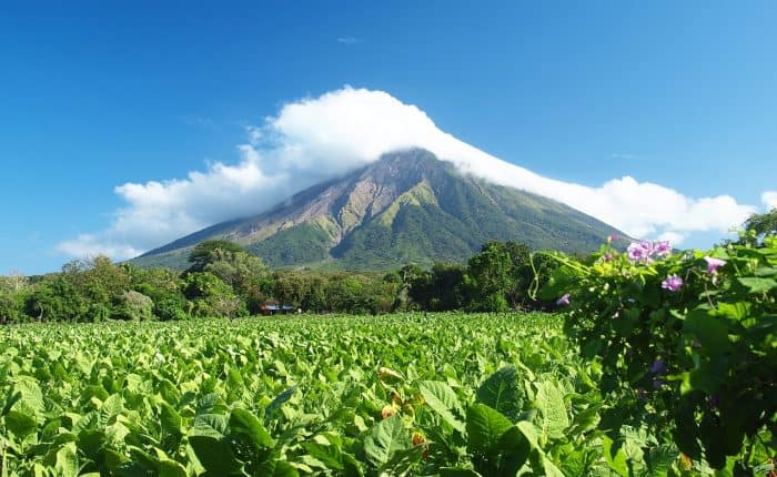 mountain with a lot of trees in Nicaragua