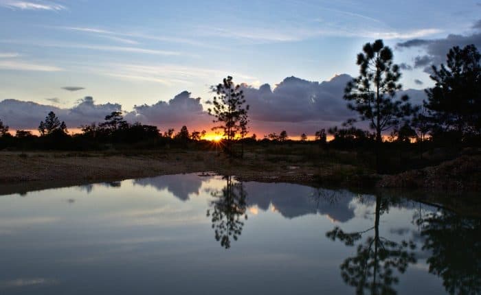 Peaceful lake in Belize