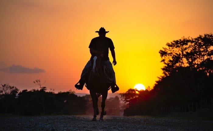 Man riding a horse in the sunset
