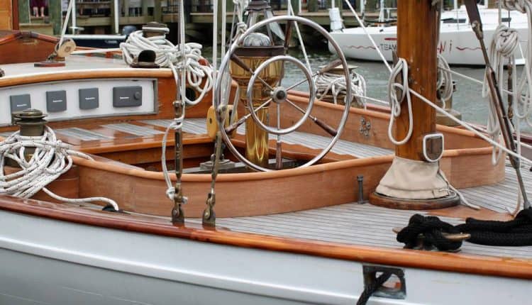 Teak – Thae Best Species for Timber Investment