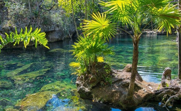 Mexican cenote