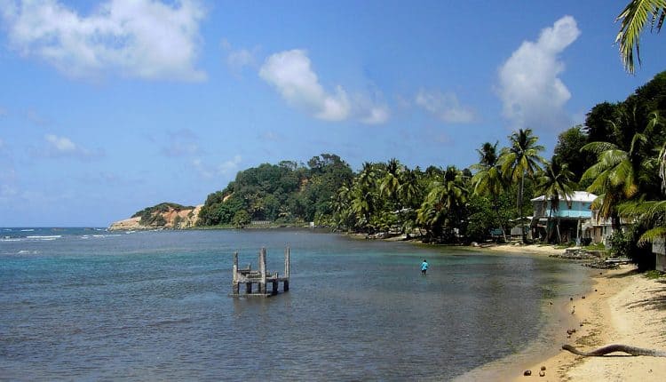 beautiful shores with greenery