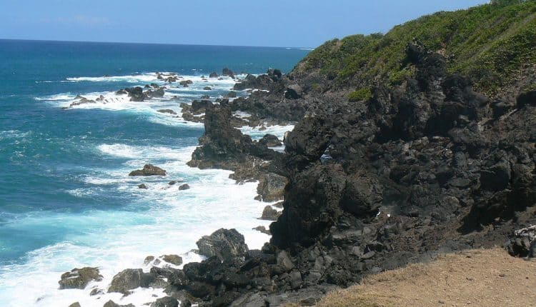 Invest in St. Kitts and Nevis