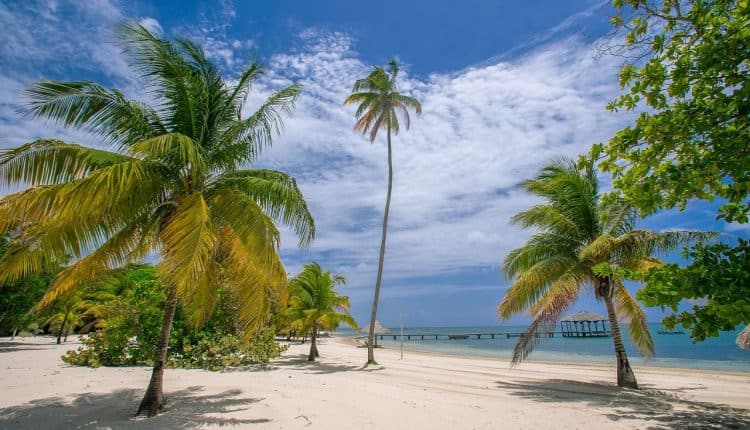 Get to Know Saint Kitts & Nevis: Living, Playing, Investing