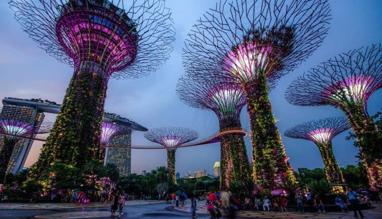 Top 5 Parks You Have to Check Out in Singapore