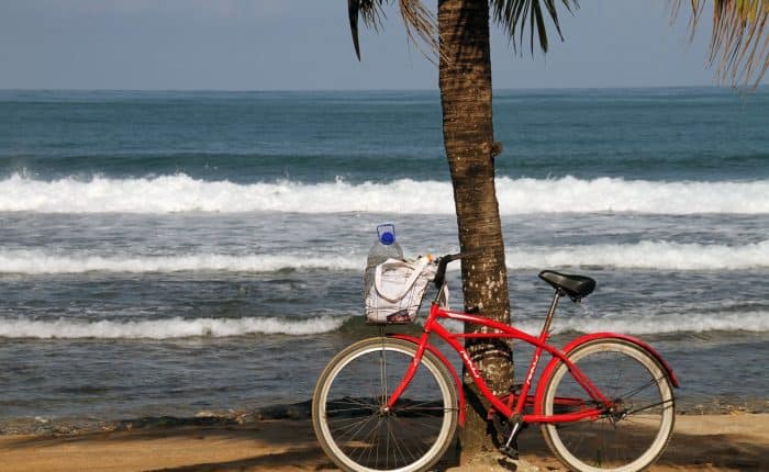 red bicycle beside a palm at the beach Panama