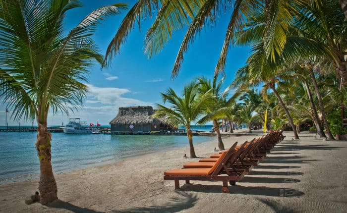 10 Easy Steps To Opening A Business In Belize In 2020