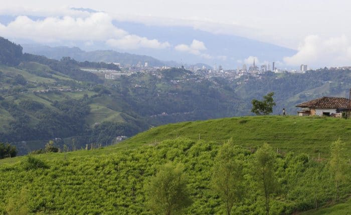 green grass with mountains in the back ground