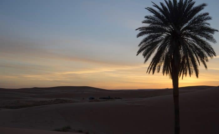 How To Work In Morocco