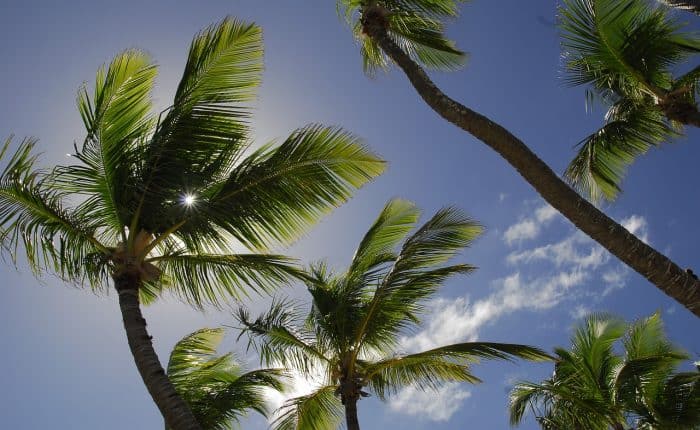 Residency Options In The Dominican Republic