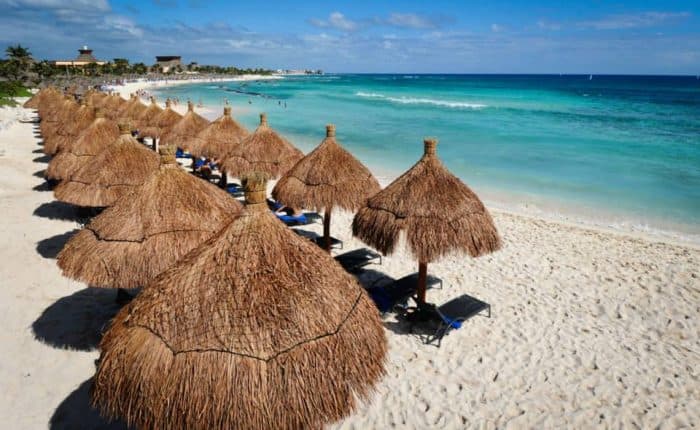two rows of thatch umbrellas along a shore