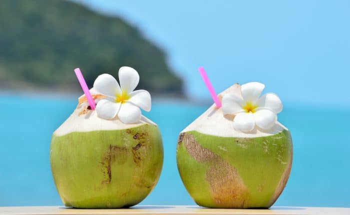 Tropical fresh coconut cocktail decorated plumeria on tropical caribbean