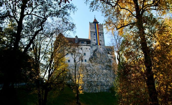 Castle looking through a forest