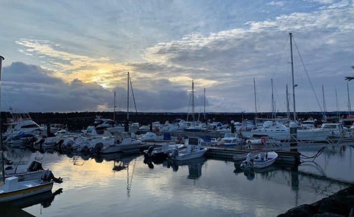 Whale Watching in the Azores