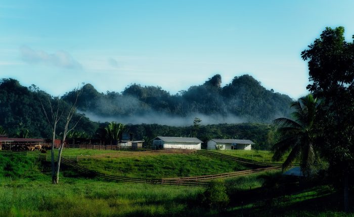 House in Belize