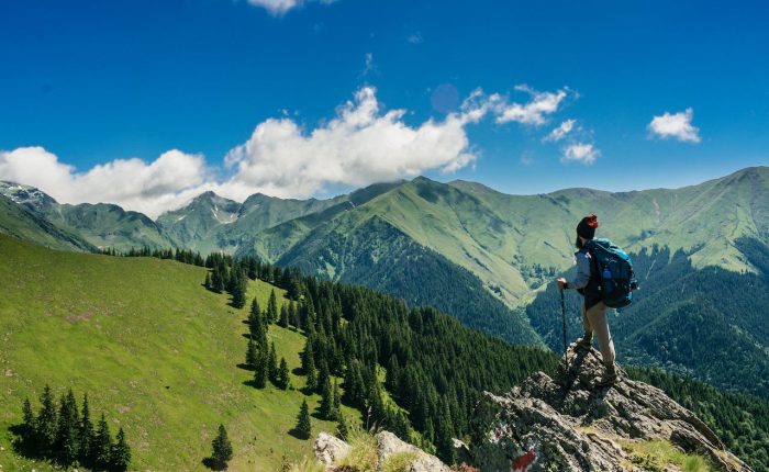 Voting with Your Feet: Why Migration Is Becoming a Popular Option